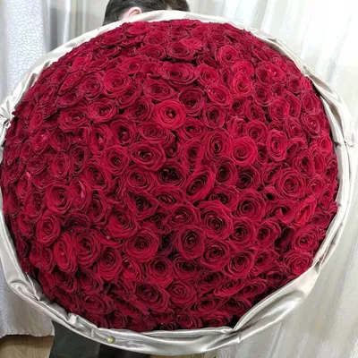 Изображение букета 30 роз, оформленного в стиле минимализма
