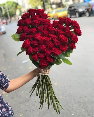 Фотка красивого букета из 55 роз