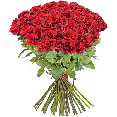 Фото великолепного букета с 55 розами