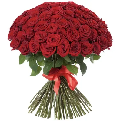 Изображение-сюрприз: букет из 101 розы 40 см для скачивания