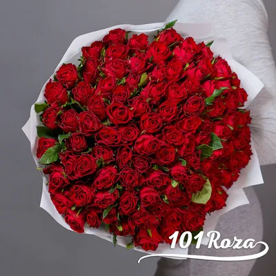 Фотка букета из 101 розы 40 см для сохранения