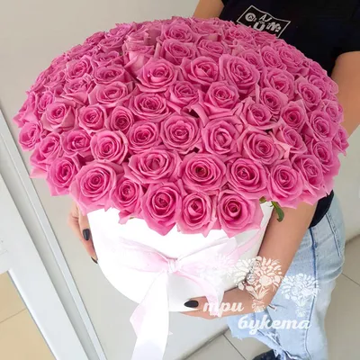 Картинка роскошного букета из 101 розы 40 см на экране