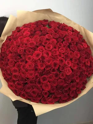Изображение прекрасного букета из 301 розы