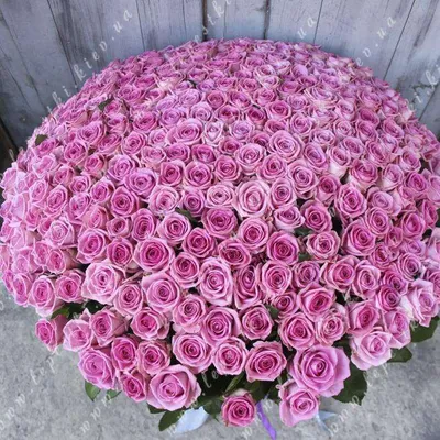Прекрасный букет из 301 розы на ваш выбор