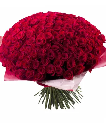 Фото великолепного букета из 301 розы