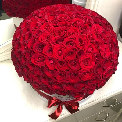 Картинка роскошного букета из 301 розы