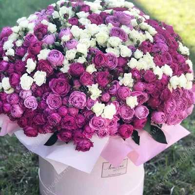 Изображение роскошного букета из 301 розы для скачивания