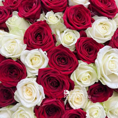 Фото великолепного букета из 301 розы на ваш выбор