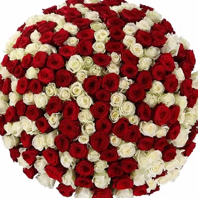 Букет из 301 розы, чтобы добавить цвета в вашу жизнь
