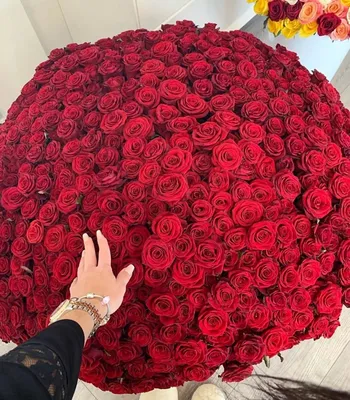 Фотка красивого букета из 301 розы для вас