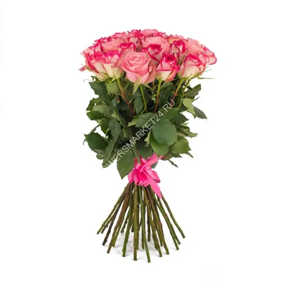 Очаровательная фотография розового букета из 33 роз