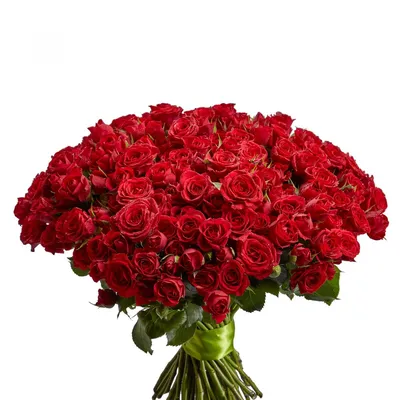 Изображение букета из 45 роз в webp формате