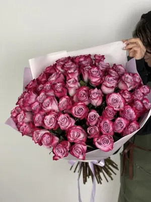Букет из 65 роз: выбор размера и формата изображения