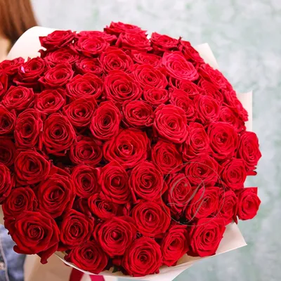 Розы: Букет из 65 роз в png формате для скачивания