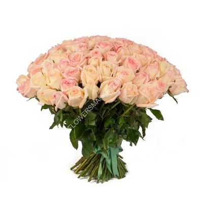 Букет из 65 роз: выберите формат изображения