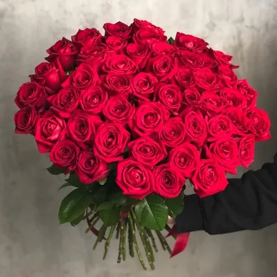 Розы: Букет из 65 роз в jpg формате
