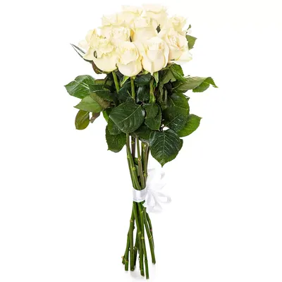 Фотка букета из 70 роз: наслаждайтесь яркостью цветов