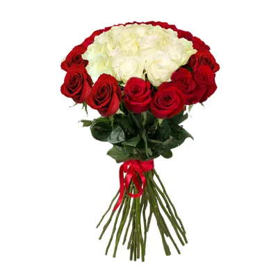 Букет из 70 роз: воплощение нежности и романтики