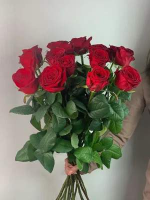 Букет из 70 роз: выберите идеальное изображение для вдохновения