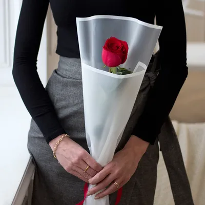 Изображение букета из одной розы в формате jpg