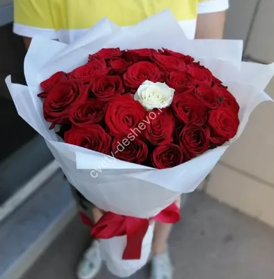 Фото розы в привлекательном формате png
