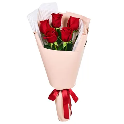 Изображение пяти красных роз в webp формате