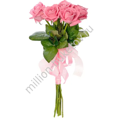 Изображение пяти розовых цветов для скачивания в png