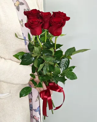 Фотка букета из пяти роз в webp формате с прозрачным фоном