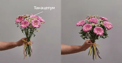 Миловидная фотография букета из роз и астр