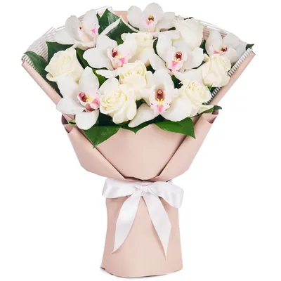 Букет из роз и орхидей для важных событий: маленький размер, webp формат