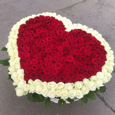 Изображение букета из роз в форме сердца - выберите размер картинки
