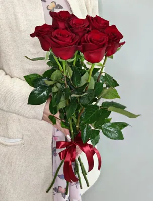 Букет из семи роз: оригинальное фото в формате jpg