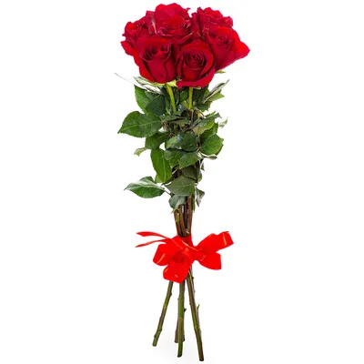 Картина с букетом из семи роз: доступна для скачивания в webp формате
