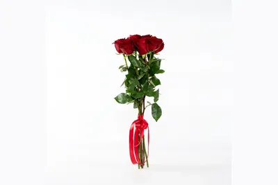 Уникальная красота: фотография букета из семи роз