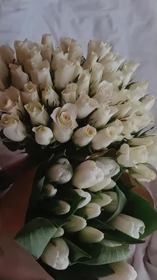 Изображение роз и тюльпанов - прекрасное сочетание