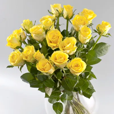 Изображение букета желтых роз с колоритной обрамлением