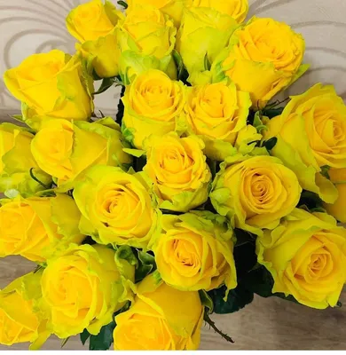 Фотка букета желтых роз, созданная профессиональным фотографом