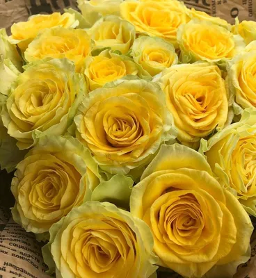 Букет из желтых роз в формате webp