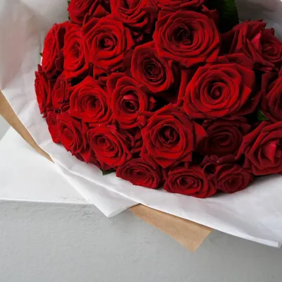 Фото букета красных роз для скачивания в формате png