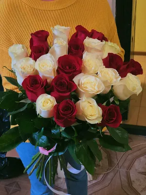 Изображение букета красных роз в png