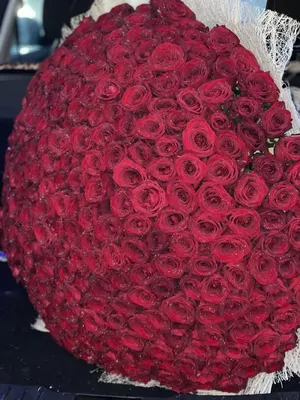Изображение красного букета роз для загрузки в webp