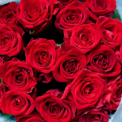 Картинка: красные розы дома - png