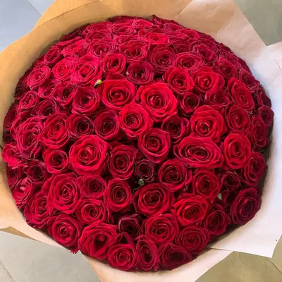Прекрасное изображение букета роз 101 штука в png