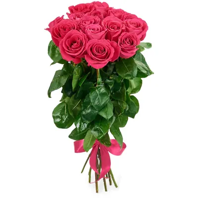 Фотография букета роз 15 штук - Изображение, WEBP
