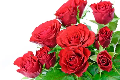 Изображение букета роз в hd: прикоснитесь к красоте
