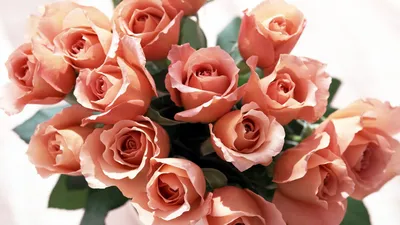 Фотография букета роз в hd: сохраните впечатление о красоте