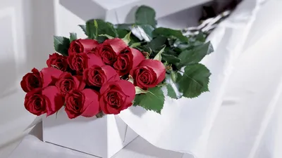 Изысканный букет роз hd: благородство в каждой фотографии