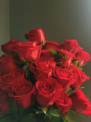 Впечатляющее изображение букета роз и их нежной красоты