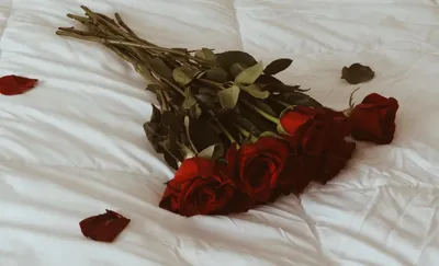 Букет роз на кровати - маленькое изображение jpg