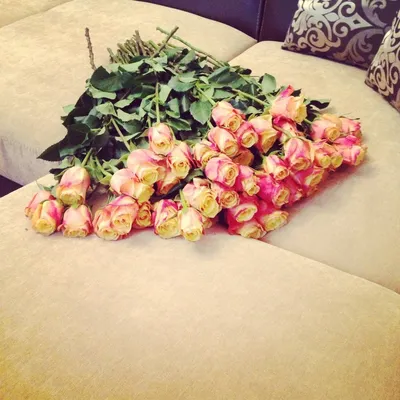 Фото букета роз на кровати в формате webp